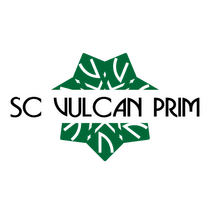 VULCAN PRIM SRL