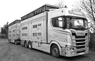 скотовоз Scania S650 for cattle - do zwierzat + прицеп скотовоз
